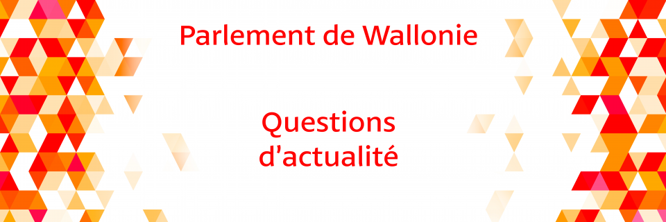 Groupe Socialiste du Parlement de Wallonie - Séance plénière - 27 novembre 2019