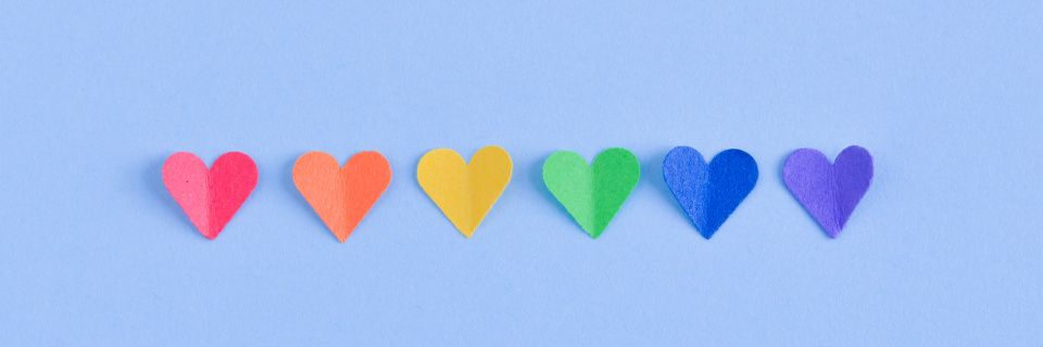 Groupe Socialiste du Parlement de Wallonie - 17 mai : journée mondiale de la lutte contre l'homophobie