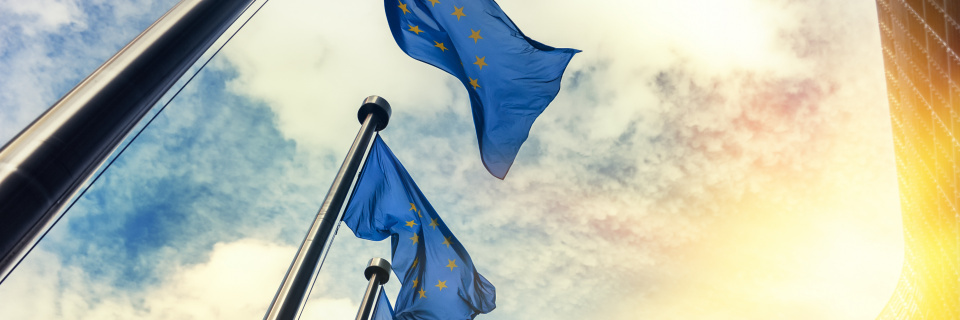 Groupe Socialiste du Parlement de Wallonie - Le Parlement de Wallonie appelle l'Union européenne à se doter de nouvelles ressources pour financer la transition sociale, écologique et économique
