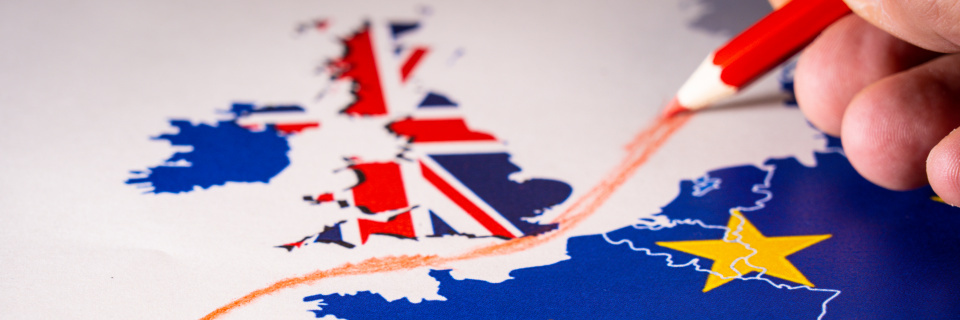 Groupe Socialiste du Parlement de Wallonie - BREXIT – NO DEAL: Non à la proposition de Geert Bourgeois