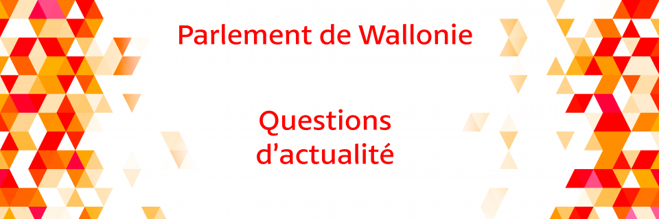 Groupe Socialiste du Parlement de Wallonie - Questions d&#039;actualité - 17 mars 2021
