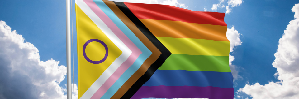Groupe Socialiste du Parlement de Wallonie - Les pouvoirs locaux sensibilisés à la lutte contre les discriminations des personnes LGBTQIA+