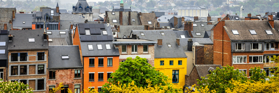 Groupe Socialiste du Parlement de Wallonie - Logements vides en centre-ville : les choses bougent