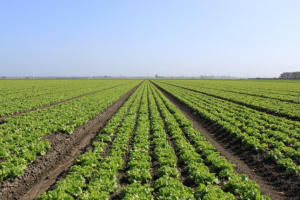 Groupe Socialiste du Parlement de Wallonie - Vidéo - Crowdfunding agricole