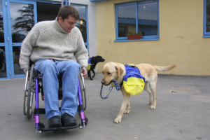 Groupe Socialiste du Parlement de Wallonie - Vidéo - Chiens d'assistance dans les lieux publics